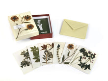 Load image into Gallery viewer, Herbaria: The Pressed Plant Collection of Beatrix Farrand: 12 Notecards and Envelopes