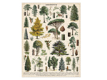 Load image into Gallery viewer, Cavallini & Co Vintage Puzzles