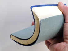 Load image into Gallery viewer, FALSE