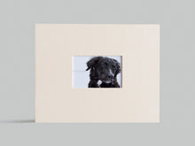 Load image into Gallery viewer, Kolo Newport Photo Album Scrapbook - Red