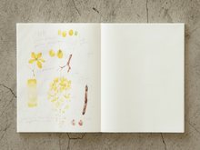 Load image into Gallery viewer, Midori MD Notebook Cotton F3 Variant