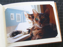 Load image into Gallery viewer, Self Adhesive Photo Corners
