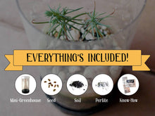 Load image into Gallery viewer, Flowering Cherry Blossom Seed Grow Kit
