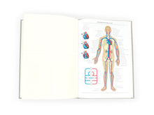 Load image into Gallery viewer, Grids &amp; Guides: A Notebook for Visual Thinkers (Gray)
