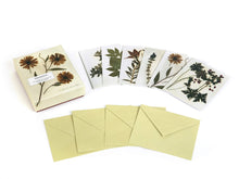 Load image into Gallery viewer, Herbaria: The Pressed Plant Collection of Beatrix Farrand: 12 Notecards and Envelopes
