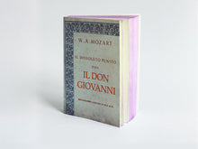 Load image into Gallery viewer, Libri Muti Antique Notebook - Don Giovanni

