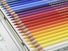 Load image into Gallery viewer, Faber Castell Polychromos 111th Anniversary Limited Edition Wood Colored Pencil Tin
