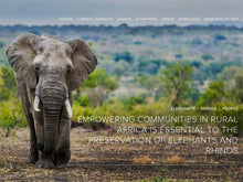 Load image into Gallery viewer, Retro 51 Elephant + Rhino Rescue Collection
